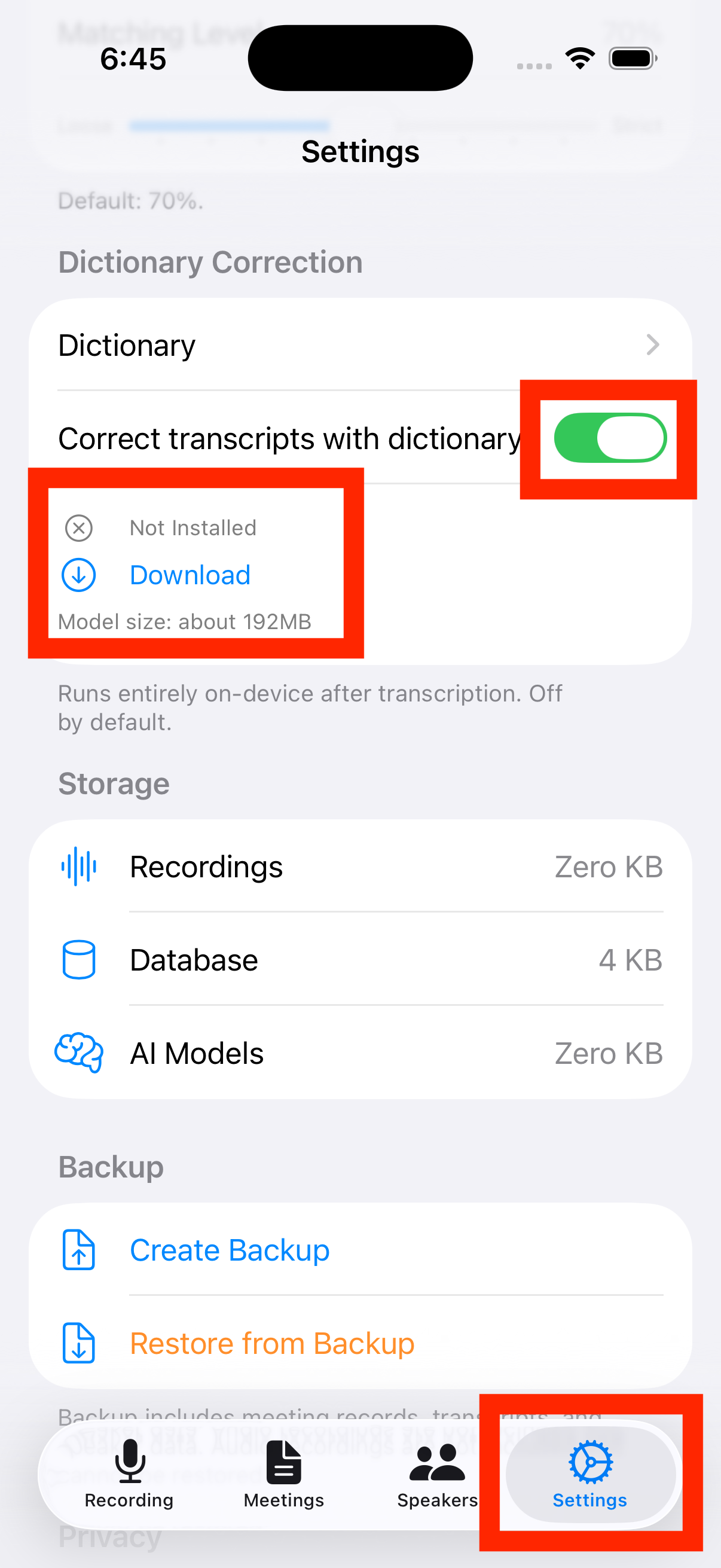 Dictionary correction toggle and model download